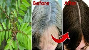 Why my hair is turning brown? Use Only These Leaves Turn White Hair Grey Hair To Black Hair Naturally Priya Malik Youtube