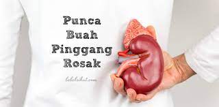 Kondisi ini menimbulkan rasa nyeri yang muncul baik di. Punca Buah Pinggang Rosak Betul Ke Kerana Supplement Bebelsihat Com