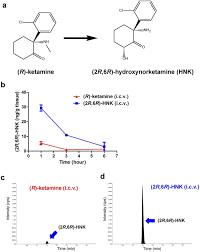 Lack Of Metabolism In R Ketamine S Antidepressant Actions In A Chronic Social Defeat Stress Model Scientific Reports