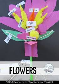 Stem Cahllenge We Created Our Own Flower Models These Had To Have All The Parts Represented By The Materials Parts Of A Flower Stem Challenges Flower Science