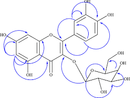 Image result for Olinia rochetiana