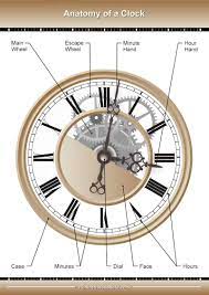When minute and second hands were added, they took on the same name, though thinner. The Main Parts Of A Wall Clock Home Stratosphere