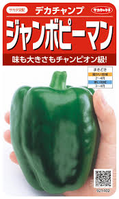 ジャンボピーマン 種 『デカチャンプ』 サカタのタネ | たね,果菜の種,ピーマン・トウガラシ,ピーマン | 種兵ネットショッピング
