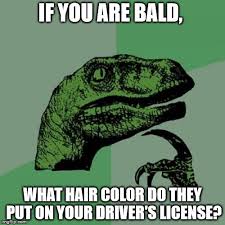 Bald Is Beautiful Memes Gifs Imgflip