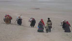 نتیجه جستجوی لغت [nomadic] در گوگل