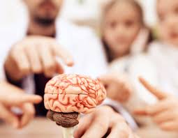 It will help you learn what tests are used to diagnose cancer and how staging systems, risk. Pediatric Brain Tumors Treatment Surgery In Ludhiana Punjab