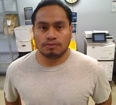 Meet Melgar Edmilson Pelico-Guox. He came to the United States from  Guatemala. He's not authorized to be here, and he certainly wasn't  authorized to smuggle aliens into our country. But that's what