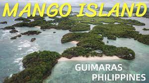 The ensuing millennia brought great recognition to the delectable fruit, and now it is known by more people worldwide than the peach. Philippines Famous Mango Island Guimaras Becomingfilipino Drone Youtube