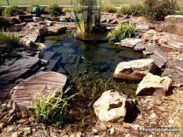 Small Natural Swimming Pool Pond Natural Swimming Ponds Swimming Pool Pond Small Water Gardens
