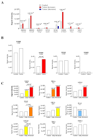 Mirwalk2 0 a comprehensive atlas of predicted and validated mirna target. Cancers Free Full Text S100a4 Is A Biomarker Of Tumorigenesis Emt Invasion And Colonization Of Host Organs In Experimental Malignant Mesothelioma Html
