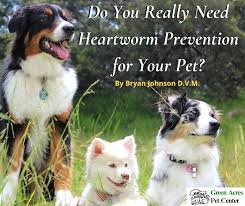Heartworm prevention for cats the good news for cat owners and their feline friends is that reliable heartworm prevention for cats does already exist. Do You Really Need Heartworm Prevention For Your Pet Green Acres Pet Center
