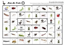 Un Projet Pour Decouvrir Les Petites Betes Surtout Les Insectes Qui Peuplent Nos Jardins Jeu De L Oie Les Petites Betes Droles De Petites Betes