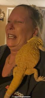 My little dude Toothless 🤍