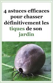 4 Astuces Efficaces Pour Chasser Definitivement Les Tiques De Son Jardin En 2020 Les Tiques Trucs Et Astuces Jardinage Jardins