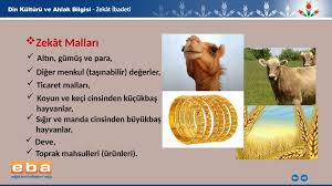 Zekat Ibadeti Akademik Sunum