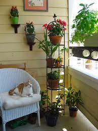 Pin On Flowers Plants Balcony Ideas