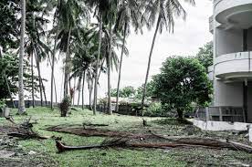 Located on a prime beachfront at teluk bahang, otherwise known as the 'glowing bay', it nestles in 7.3 hectares (18 acres) of landscaped tropical greenery. Abandoned Mutiara Beach Resort Train To Kitezh