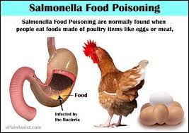 13 Salmonella Ideas Salmonella Treatment Food Poisoning