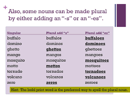 Ppt Plural Nouns Ending With O Powerpoint Presentation Free Download Id 2006772