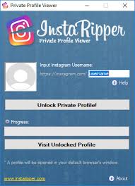 Download free game likes and follows in instagram! Instagram Private Profile Viewer Instaripper Tool