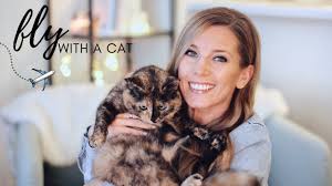 Mount alvernia is the highest point in the country at 63 meters. How To Travel With A Cat On A Plane What You Need To Know