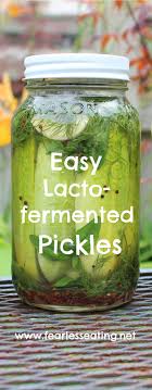 How To Make Homemade Lacto Fermented Pickles