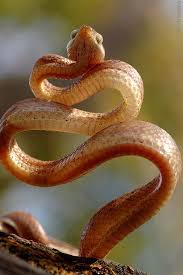 Pin On Nature