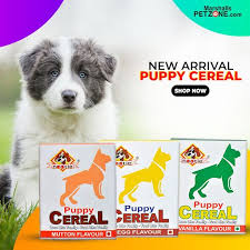 Pin On Pet Deals