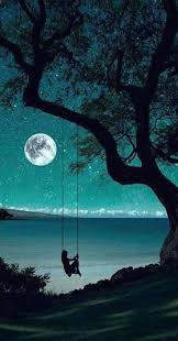 Pin By Isik Tuna On Gece Dolunay Yildizlar Nature Photography Beautiful Wallpapers Pictures
