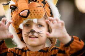 Traditional facepaints are probably dangerous near eyes and mouth, so i used gel eyeliner for the eyes, and lipstick for the lion lips/nose. 10 Face Painting Ideas That Are Totally Doable