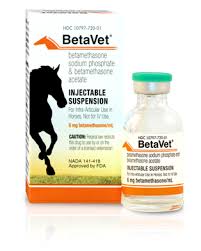 Vermillion s., soper d., newman r. Dual Power Against Pain And Inflammation Betavet