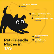 See the best & latest discount bakery near me on iscoupon.com. Ultimate List Of Dog Friendly Places In Australia Petbarn Articles