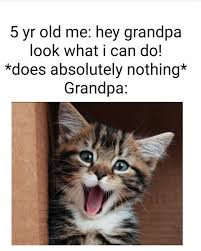 About press copyright contact us creators advertise developers terms privacy policy & safety how youtube works test new features press copyright contact us creators. Twenty Two Inspirational Cat Memes My Landlady Emailed Me Laptrinhx News