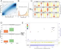 Gehrig bol počas svojej kariéry v afl všestranným hráčom, svoju kariéru začínal v západné pobrežie predtým, ako sa stal známym ako. Integration Of Human Pancreatic Islet Genomic Data Refines Regulatory Mechanisms At Type 2 Diabetes Susceptibility Loci Elife