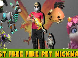 Are you looking for stylish free fire names? 100 Best Free Fire Pet Nickname Pointofgamer