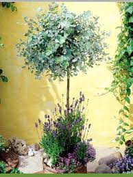 Epingle Par Anne Skytte Sur Hausbau Arbre De Jardin Plante De Lavande Deco Jardin