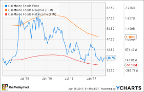 Is a producer and marketer of shell eggs in the united states. 3 Things Cal Maine Foods Inc Investors Need To Know The Motley Fool