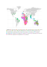 Image result for Sesamum calycinum