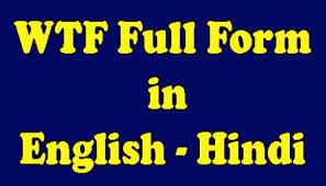 Wtf Full Form Meaning In Hindi Wtf क क य मतलब ह Hindi Meant To Be Wtf