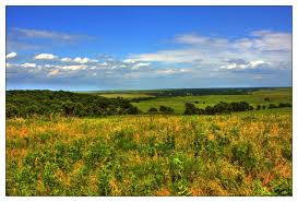 Pruett cl, patten ma, wolfe dh (2009) avoidance behavior by prairie grouse: 31 Tall Grass Prairie Pawhuska Ideas Pawhuska Prairie Tall Grass