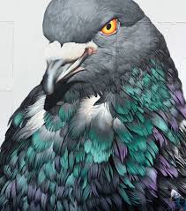 Birds Of A Feather Festival 2020 Painting In 2020 Pigeon Pigeon Pictures Bird Art