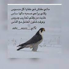 قصائد شعر يمني غزل فاحش.com. Ù‚ØµØ§Ø¦Ø¯ ØºØ²Ù„ ÙŠÙ…Ù†ÙŠ
