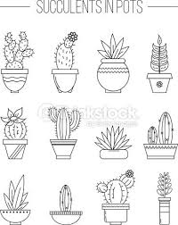 Set Of Succulent Plants And Cactuses In Pots Linear Botanical Vector Dessin Plante Dessin Dessins Faciles
