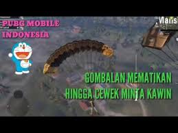 10 gombalan lucu pakai tebak tebakan hewan. Gombalan Maut Mematikan Pubg Mobile Indonesia Youtube