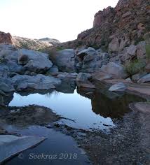 Badger springs road is the dirt road to the right of the kiosk. Badger Springs Trail 14 Scott S Place Images And Words