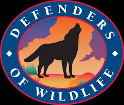 Dear Stephanie Rice, NPRA Project Manager, Bureau of Land Management:  Defenders of Wildlife is submitting the following 14,639