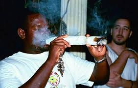 Resultado de imagem para AtenÃ§Ã£o, maconheiros!