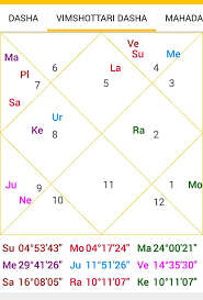 Timing Of Marriage Astro Pankaj Seth Birth Chart Astrology Birth Chart Marriage