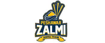 New Peshawar Zalmi Logo 2018 Psl Logos Sport Team Logos Psl