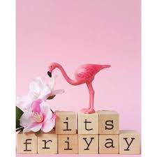 Friday Flamingos Quote Pink Flamingos Flamingo Decor